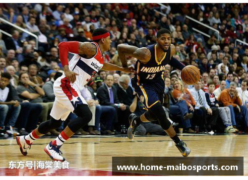 NBA重播中文解说：深入赛场，精彩再现