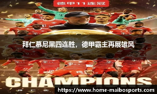 迈博体育官网