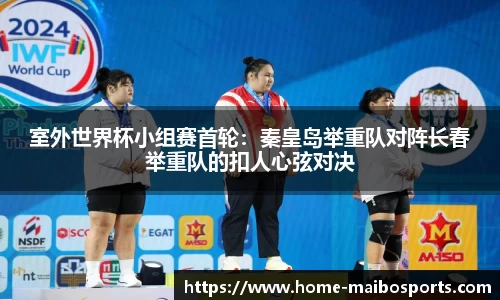 迈博体育app